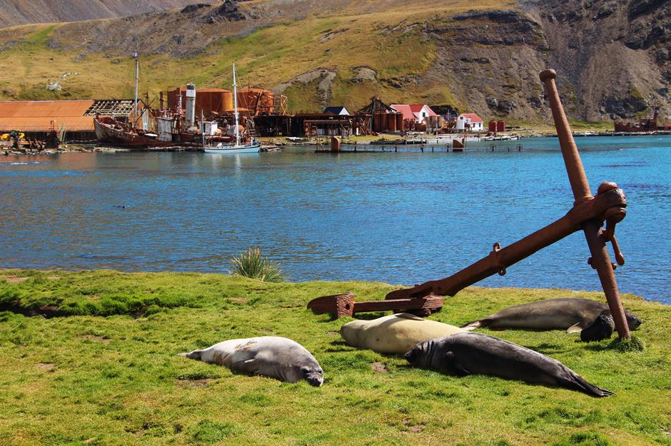 Whaling station, Grytviken